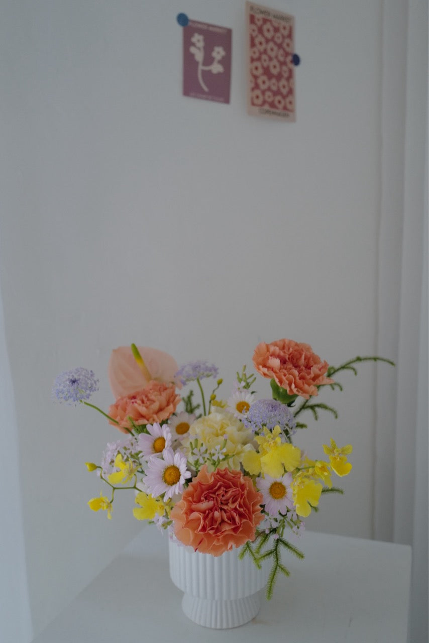 【♡母親節限定-康乃馨盆花】