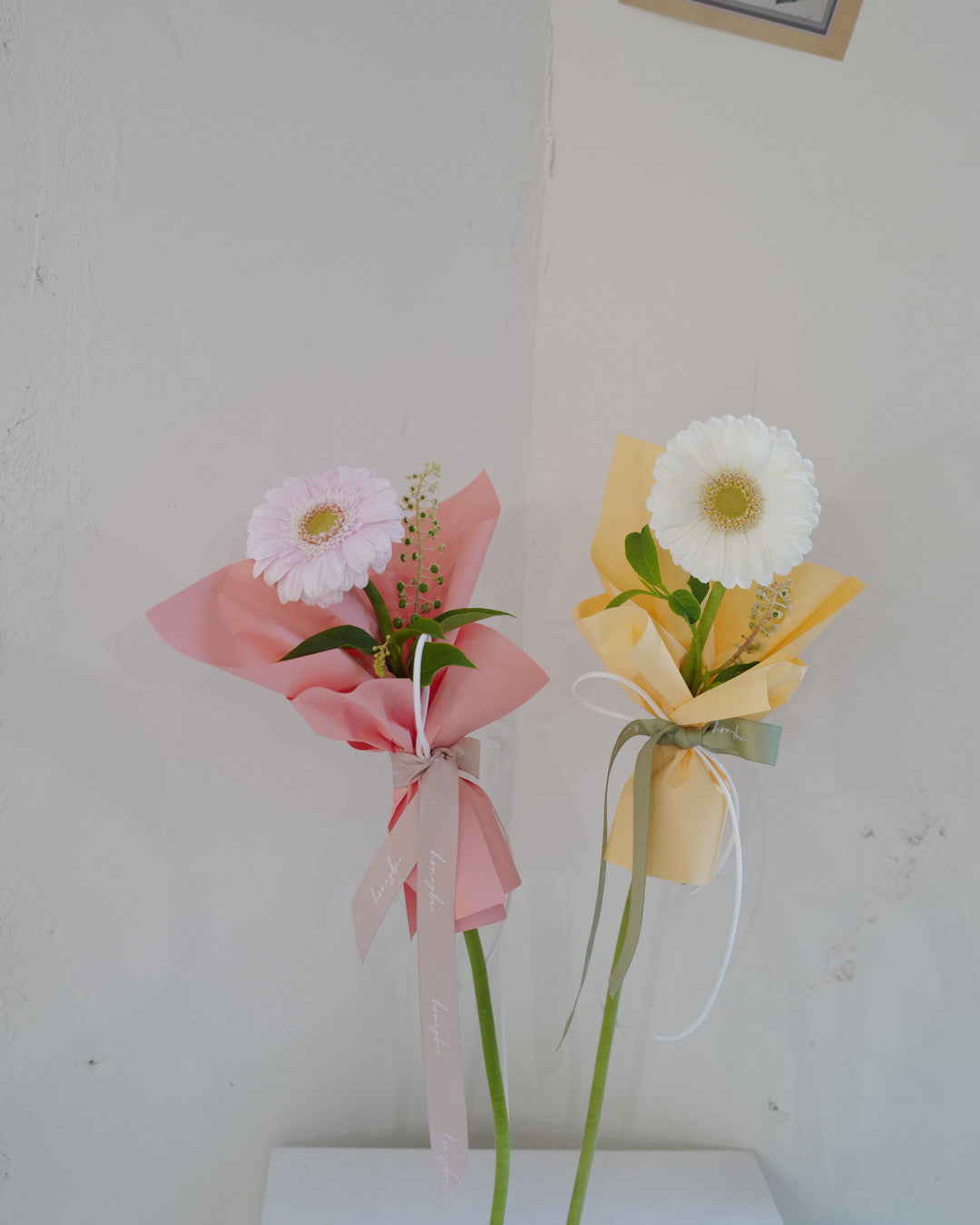2025【單枝非洲菊花束】