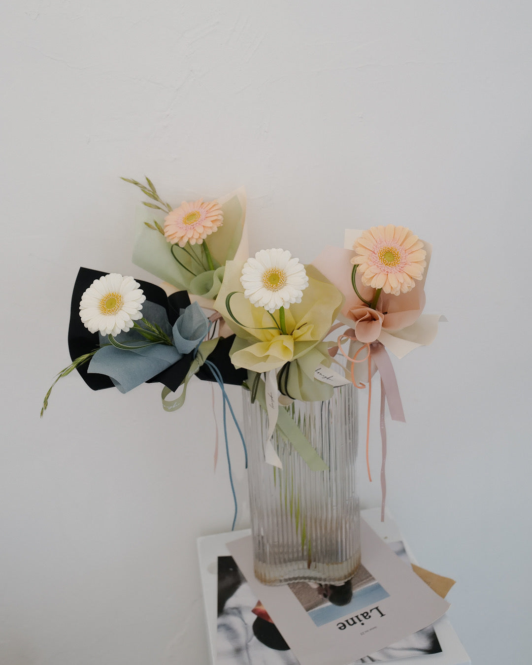 【非洲菊花束】