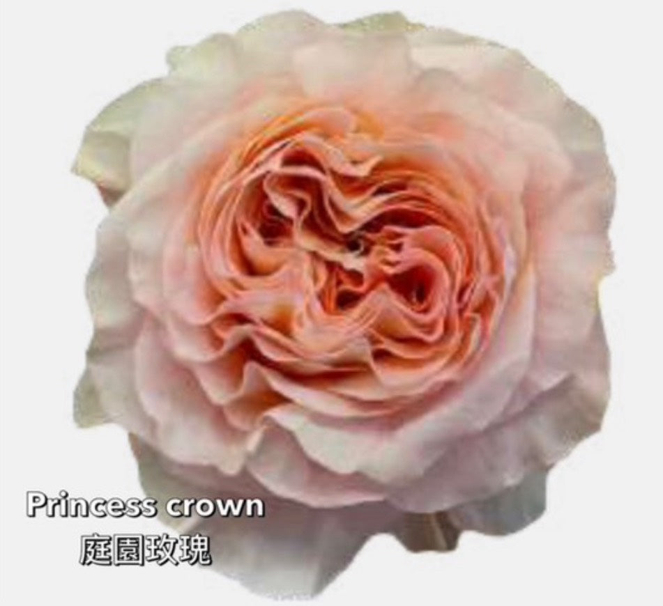 七夕✦ 玫瑰花束 Rose Bouquet