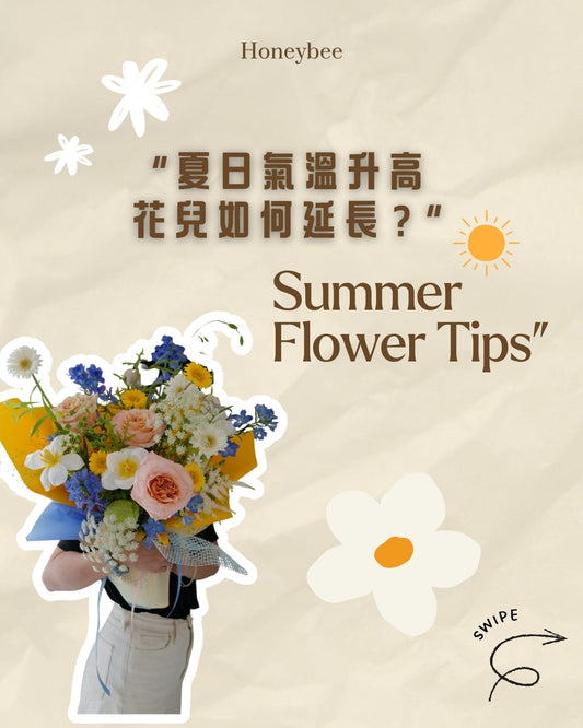 夏日養護鮮花指南