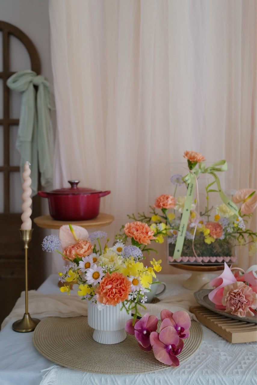 【♡母親節限定-康乃馨盆花】