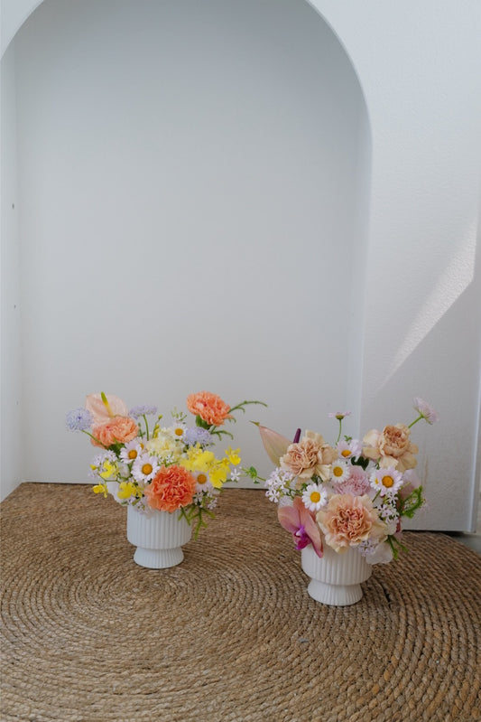 【♡母親節限定-康乃馨盆花】