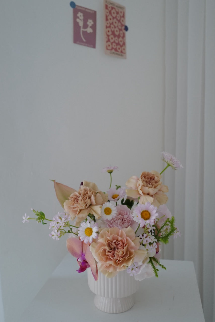 【♡母親節限定-康乃馨盆花】