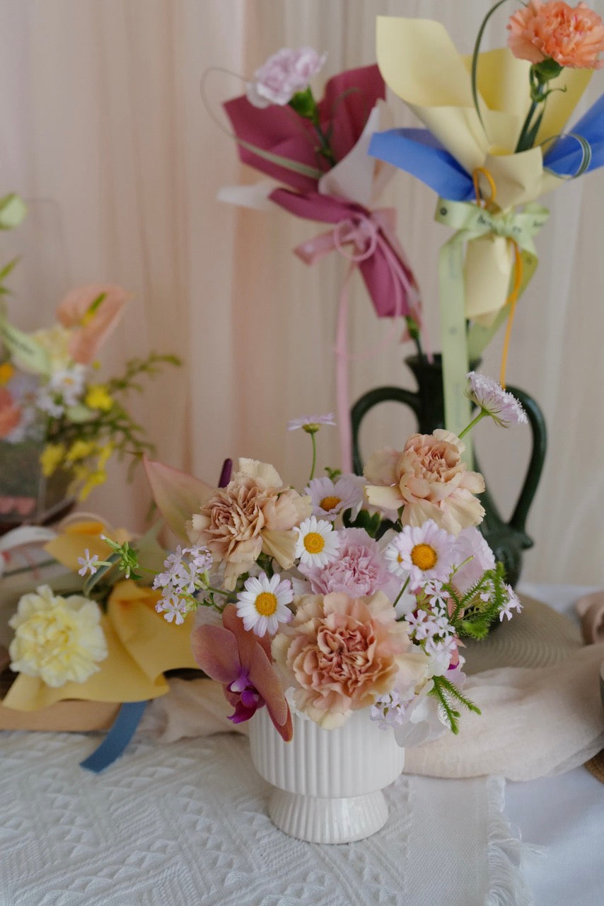 【♡母親節限定-康乃馨盆花】