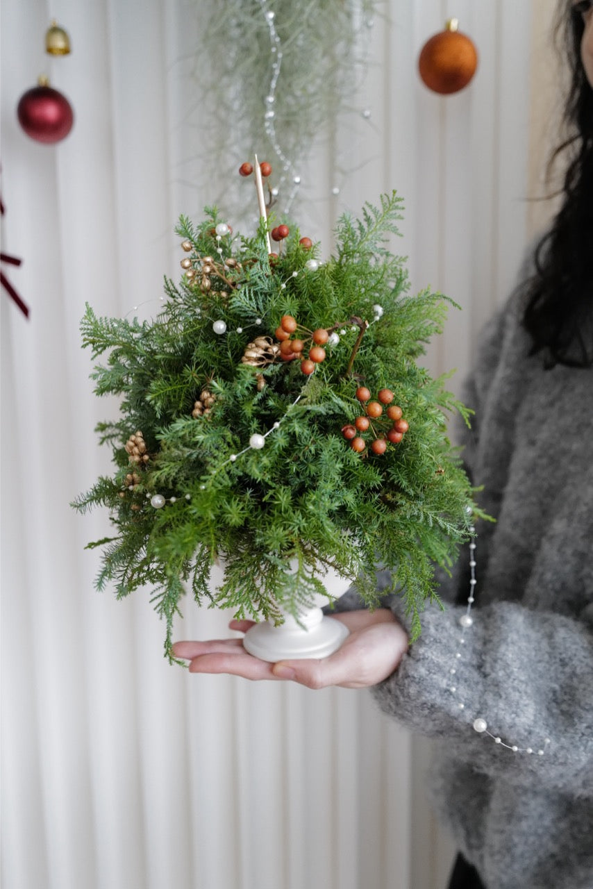 【2025聖誕 - ✯聖誕小樹】 - honeybee breath