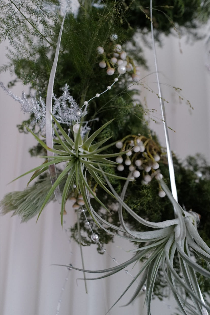 【聖誕花環手作課 - ❉白雪花圈】 - honeybee breath