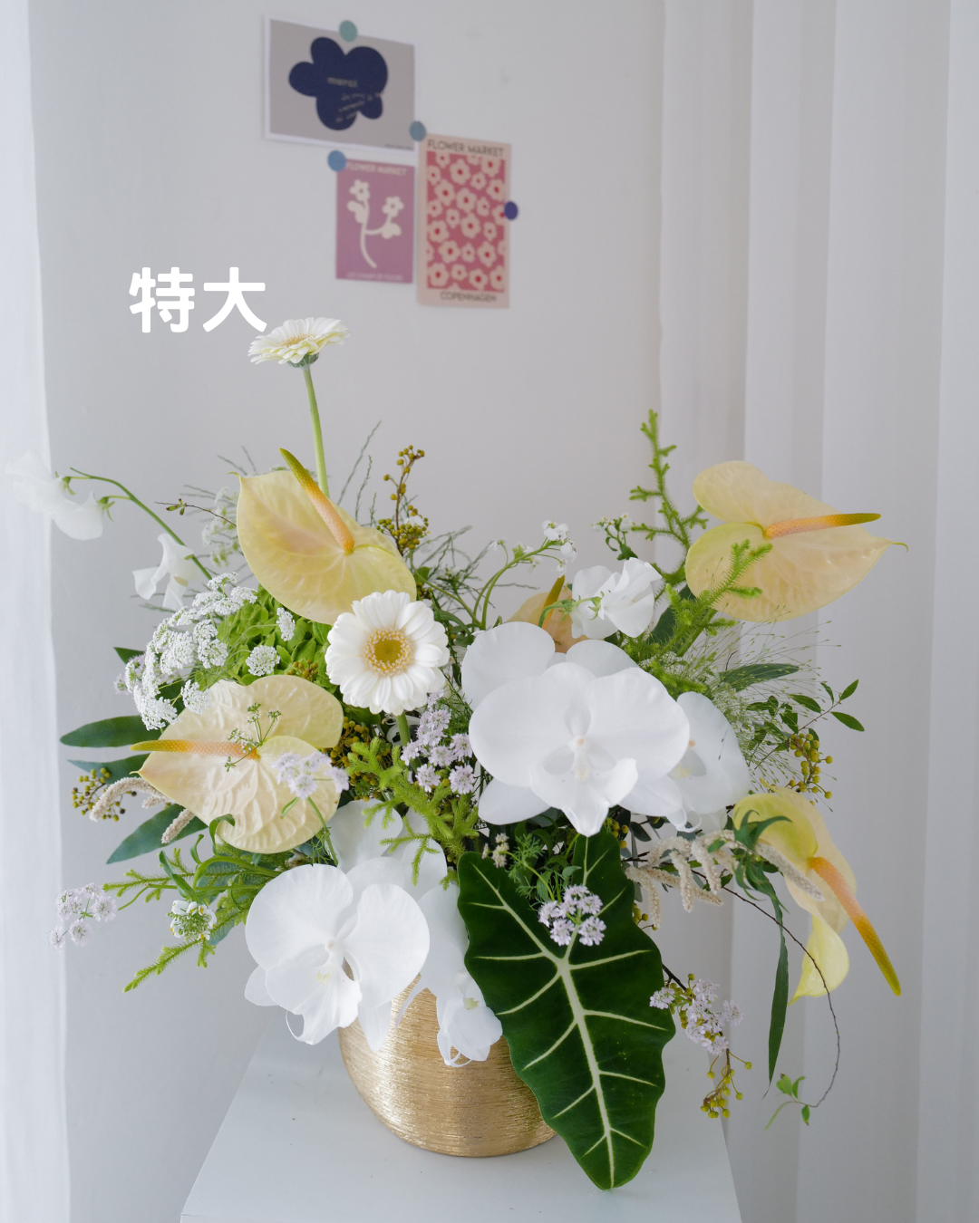 祝賀鮮花盆花 - honeybee breath