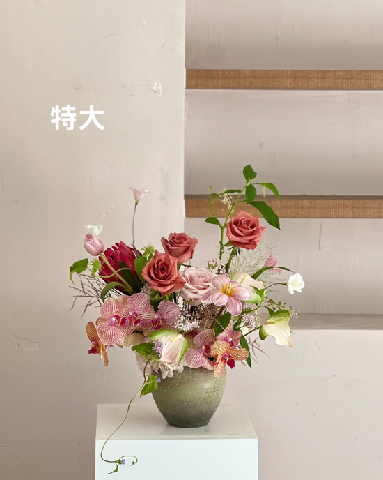 祝賀盆花 特大 紅粉色系 - honeybee breath