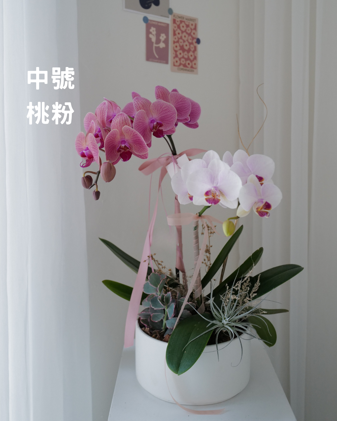 祝賀蘭花花禮 - honeybee breath